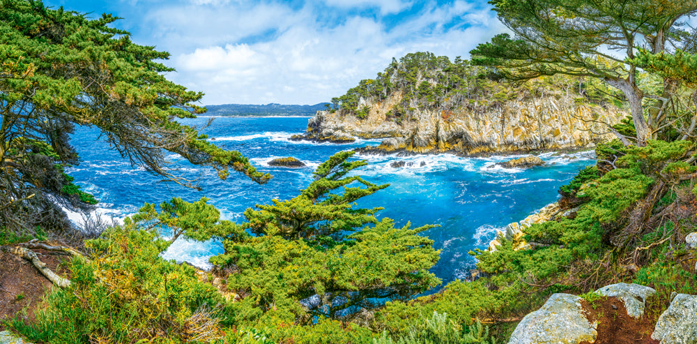 Castorland Californian Coast, USA 4000 Piece Jigsaw Puzzle