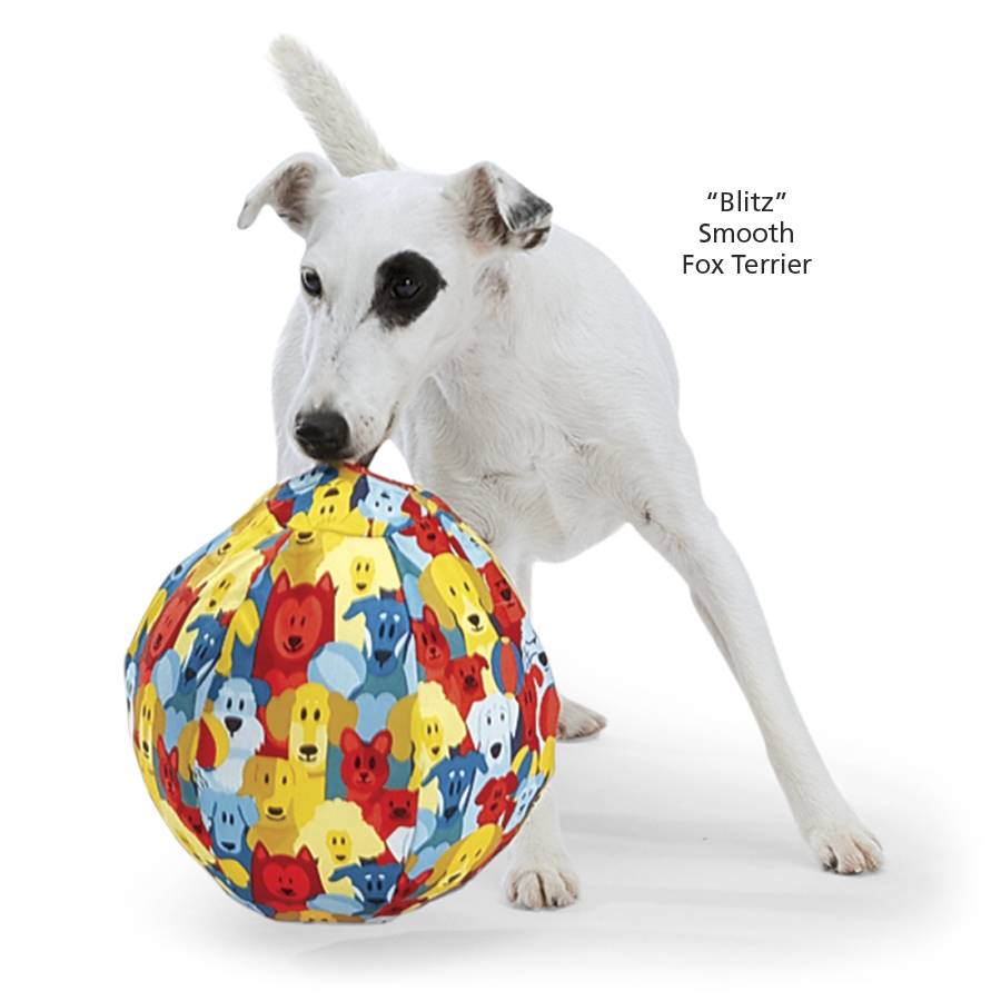 PetBloon Balloon Cover Dog Toy | Big Fun Balloon Play for Smaller Dogs