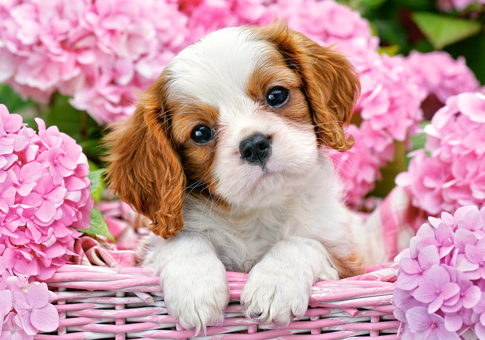 Castorland Pup in Pink Flowers 500 Piece Jigsaw Puzzle