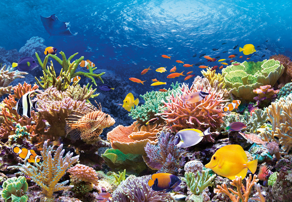 Castorland Coral Reef Fishes 1000 Piece Jigsaw Puzzle