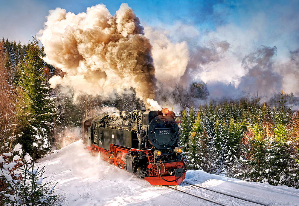 Castorland Steam Train 1000 Piece Jigsaw Puzzle