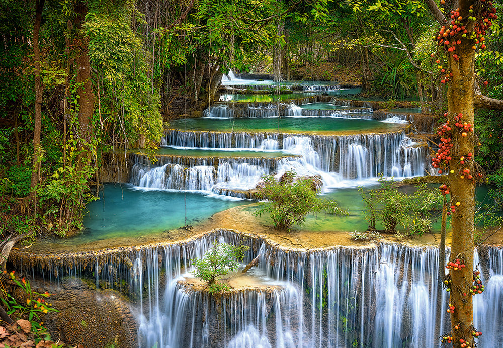 Castorland The Cascade 1000 Piece Jigsaw Puzzle