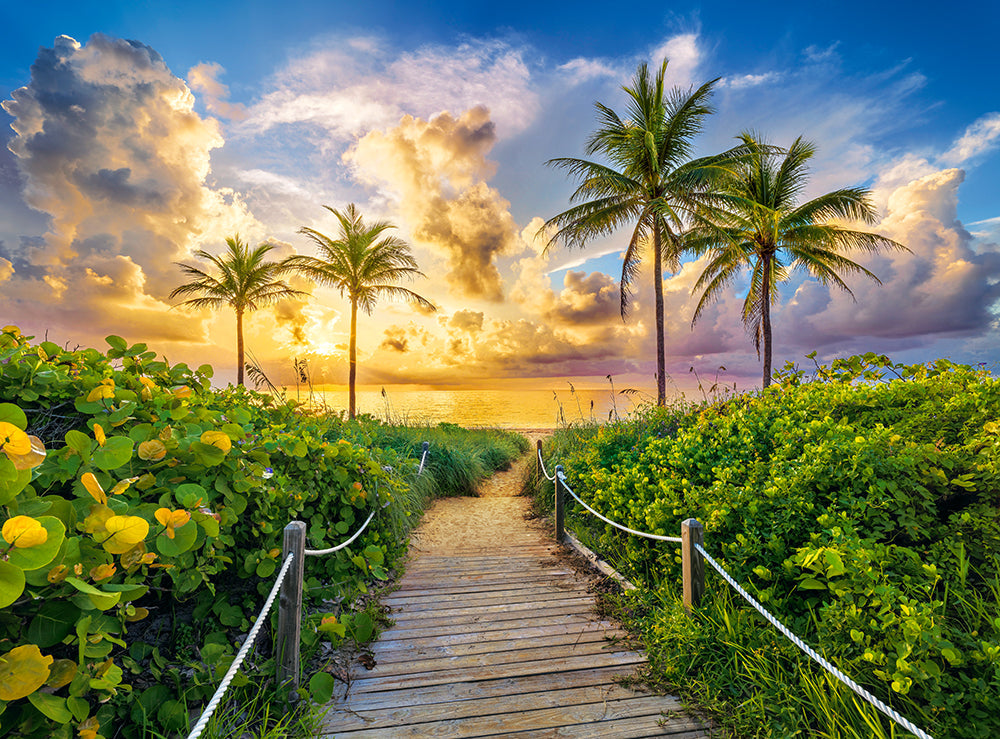 Castorland Colorful Sunrise in Miami, USA 3000 Piece Jigsaw Puzzle