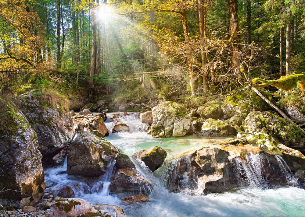 Castorland The Forest Stream 2000 Piece Jigsaw Puzzle