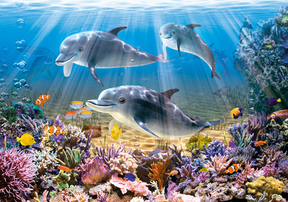 Castorland Dolphins Underwater 500 Piece Jigsaw Puzzle
