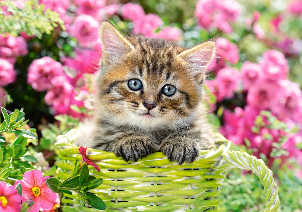 Castorland Kitten in Flower Garden 500 Piece Jigsaw Puzzle
