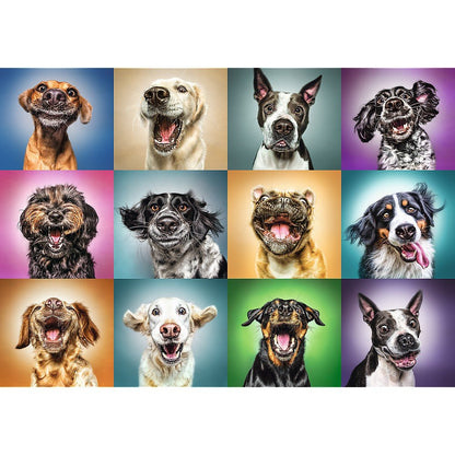 Trefl 1000 Piece Jigsaw Puzzle, Funny Dog Portraits