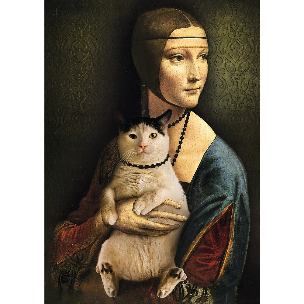 Trefl 1000 Piece Jigsaw Puzzle Lady with a Cat