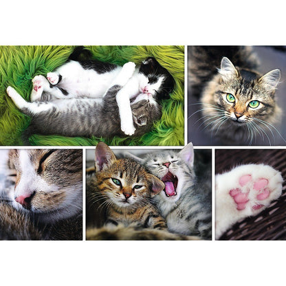 Trefl 1500 Piece Jigsaw Puzzle, Just Cat Things Collage