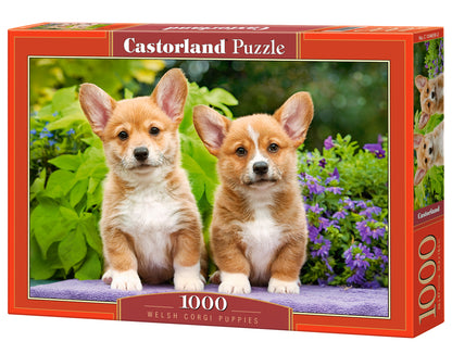Castorland Welsh Corgi Puppies 1000 Piece Jigsaw Puzzle