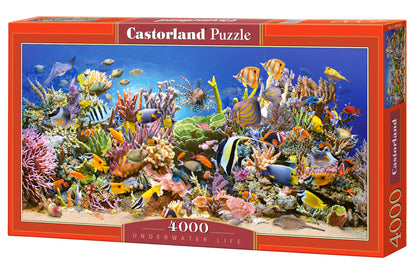 Castorland Underwater Life 4000 Piece Jigsaw Puzzle
