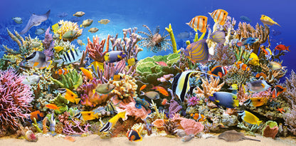 Castorland Underwater Life 4000 Piece Jigsaw Puzzle